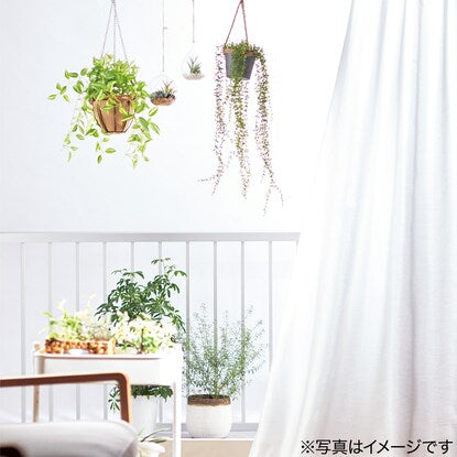 Fake Green Hanging Terrarium Glass Container (Succulent HA3TC0122)