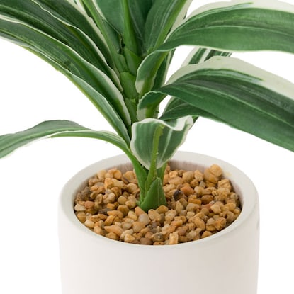 Fake greenery (Dracaena 28cm in terracotta pot)