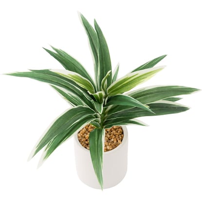 Fake greenery (Dracaena 28cm in terracotta pot)