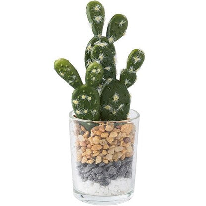 Fake greenery (succulent glass pot, cactus glass pot, mini HA34322)