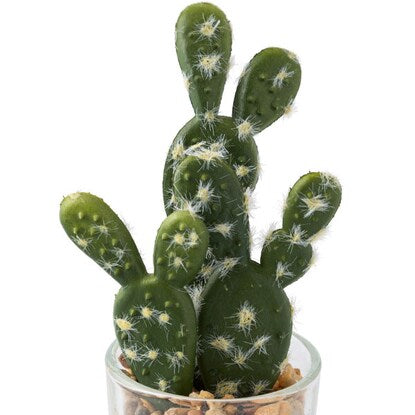 Fake greenery (succulent glass pot, cactus glass pot, mini HA34322)