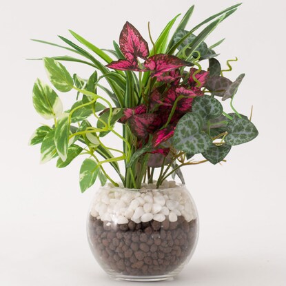 Fake greenery in a glass pot (2 glass pots in a green pot)