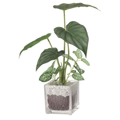 Fake greenery (Alocasia in a glass pot)