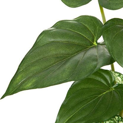 Fake greenery (Alocasia in a glass pot)