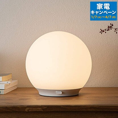 LED ball lamp (YP-Q555)