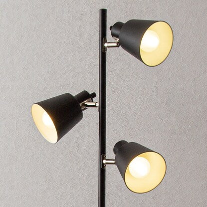 Floor lamp (LI-ZU floor lamp, black)