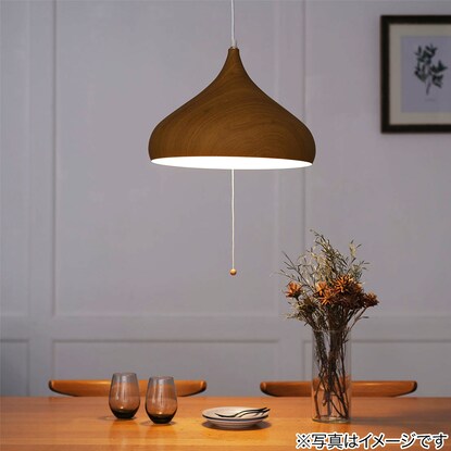 Pendant Light Larm M (135P-3 LBR)