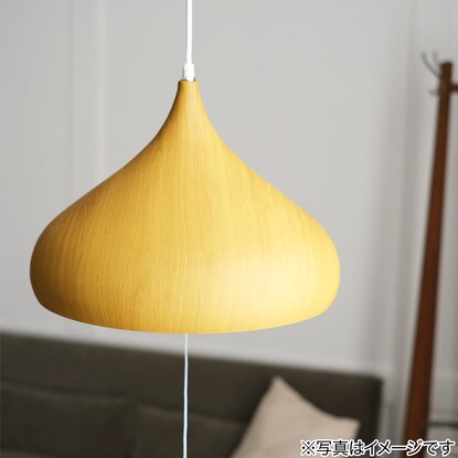 Pendant Light Larm M (135P-3 LBR)