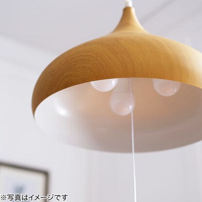 Pendant Light Larm M (135P-3 LBR)