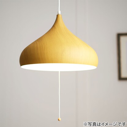 Pendant Light Larm M (135P-3 LBR)