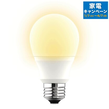 LED bulb (E26 60W equivalent LEE60WM-L)