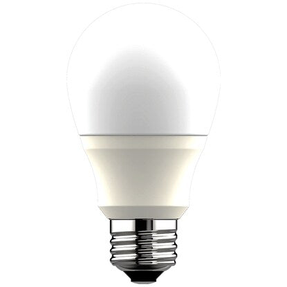 LED bulb (E26 60W equivalent LEE60WM-L)