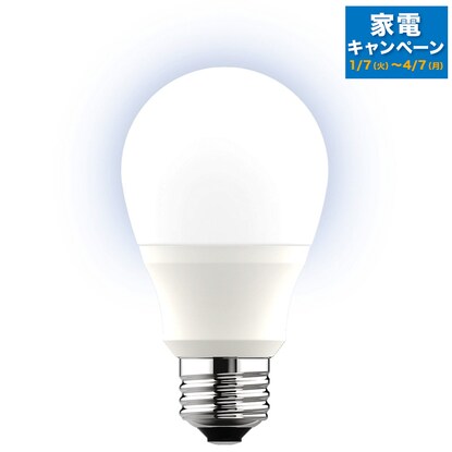 LED bulb (E26 60W equivalent LEE60WM-N)