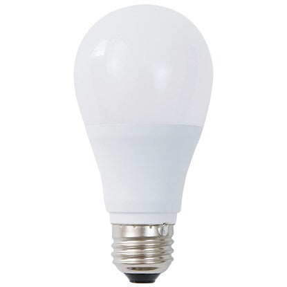 LED bulb (E26 base, 100W equivalent, warm white LEE100WM-L)