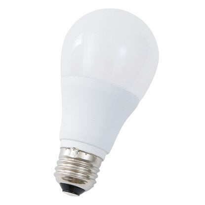 LED bulb (E26 base, 100W equivalent, warm white LEE100WM-L)