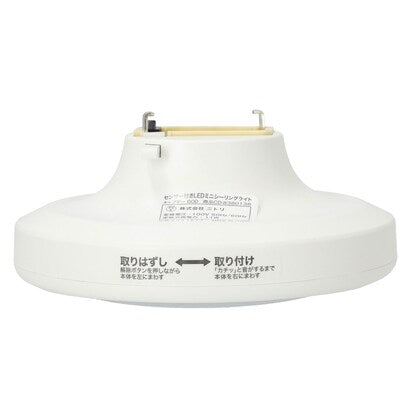 Sensor-equipped LED mini ceiling light Captor Daylight color (60D)