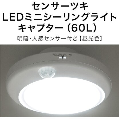 Sensor-equipped LED mini ceiling light Captor Daylight color (60D)