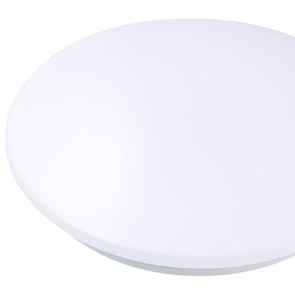 LED ceiling light (MN-100 LCL5)