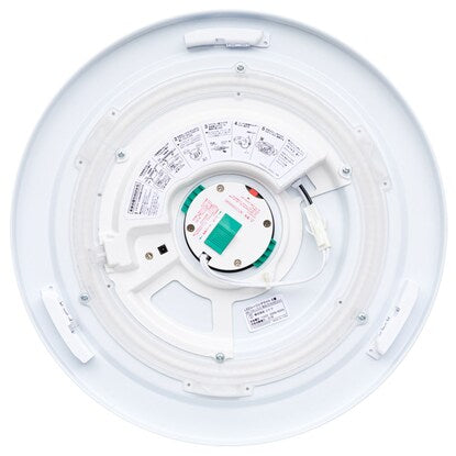 LED ceiling light (MN-100 LCL5)