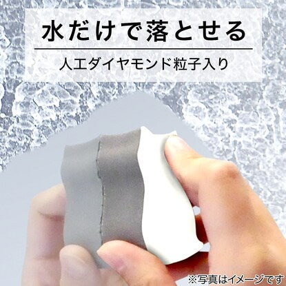 貼りつく鏡のウロコ取り（ネコ）