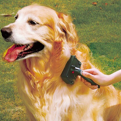 Pet brush (slicker type)