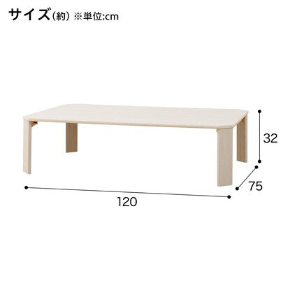 Folding table (LW2 12075 Whitewash)