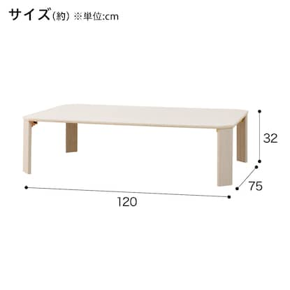 Folding table (LW2 12075 Whitewash)