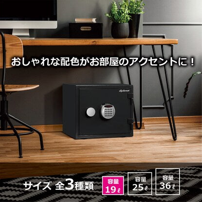 Crystal Fireproof and Waterproof Safe (Capacity 19L, Black)