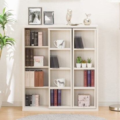 Sliding bookshelf (Tail I 80WW)