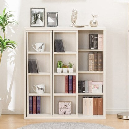 Sliding bookshelf (Tail I 80WW)