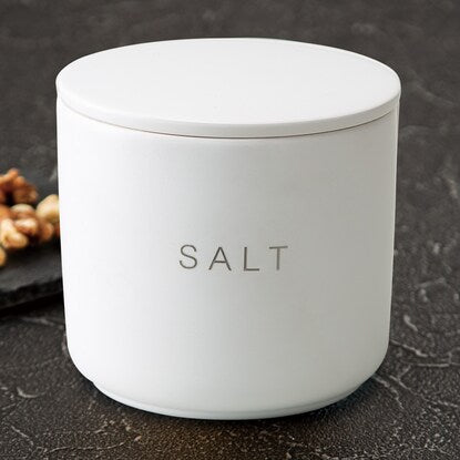 Porous ceramic canister SALT