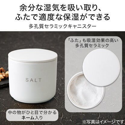 Porous ceramic canister SALT