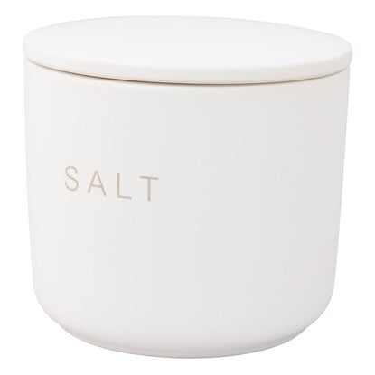 Porous ceramic canister SALT