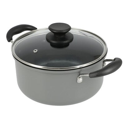 Gas stove, two-handled pot, 22cm (LE)