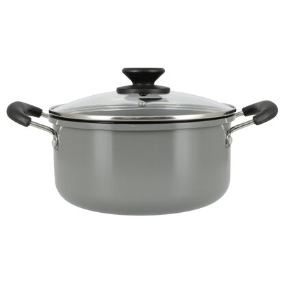 Gas stove, two-handled pot, 22cm (LE)