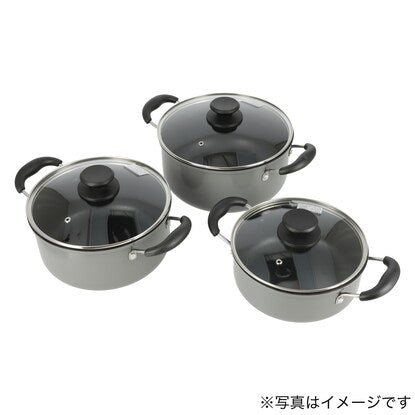 Gas stove, two-handled pot, 22cm (LE)