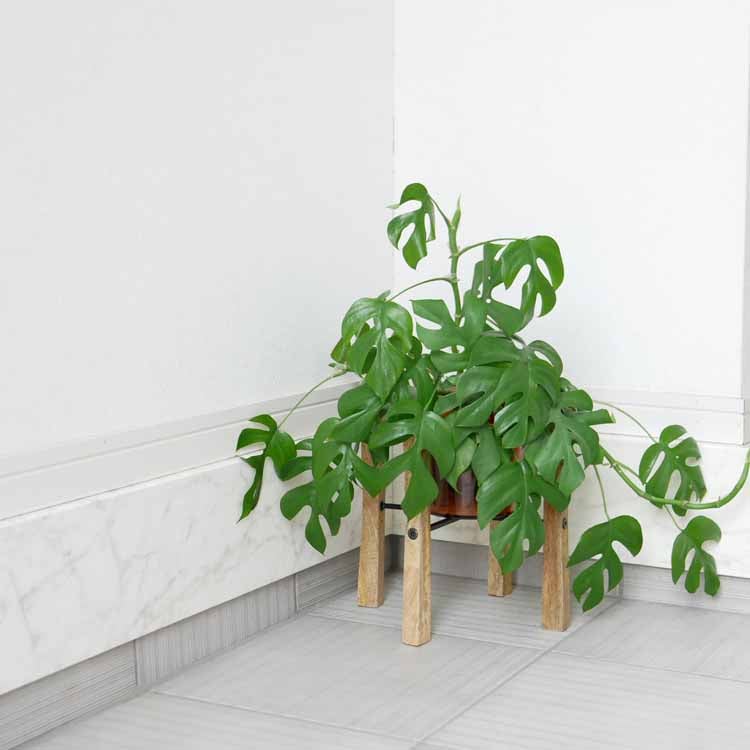 Folding Pot Stand Medium