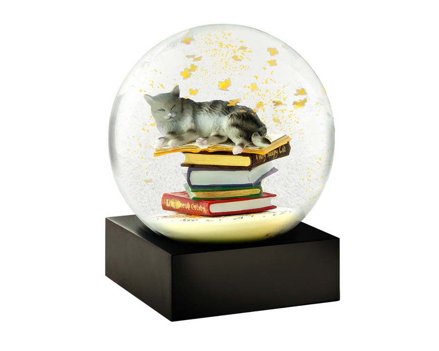 Snow Dome Cat on Books クールスノーグローブス
