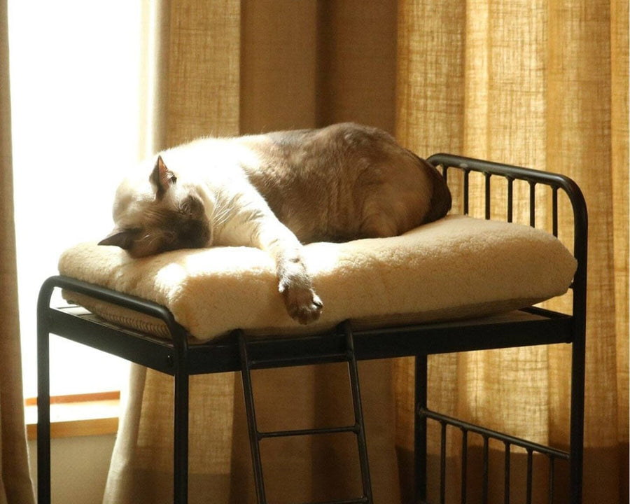 SENS BUNK BED for CAT サンクバンクベッドフォーキャット