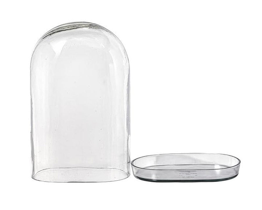 DISPLAY GLASS DOME ディスプレイガラスドーム