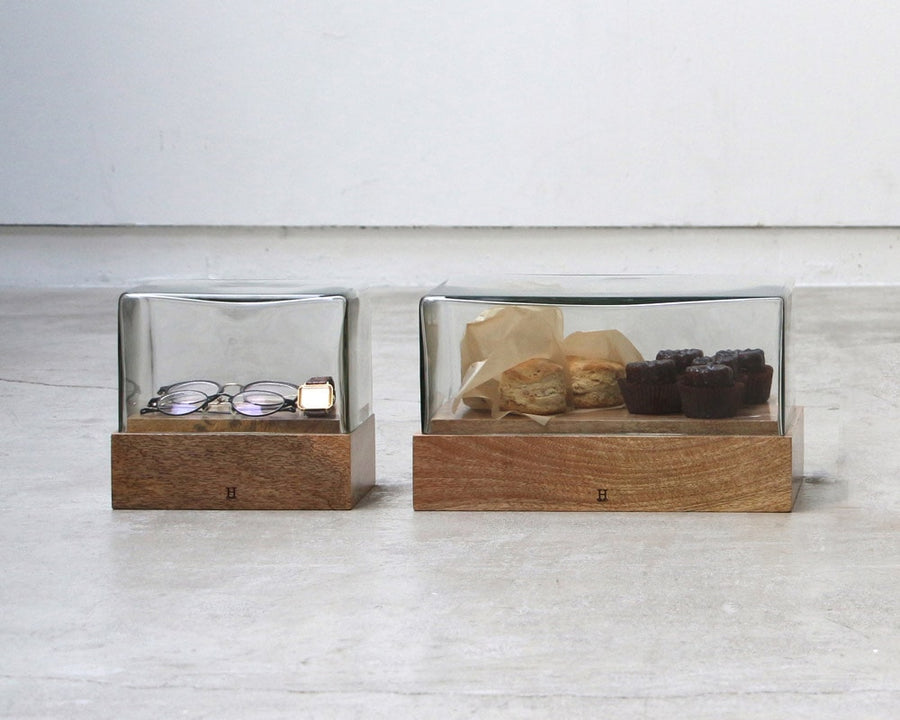 Glass Dome Rectangle WB-RECT-1