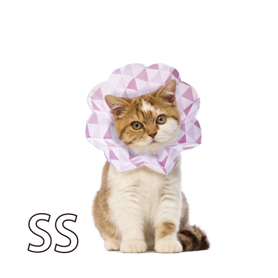 Compact Elizabethan Collar Eriko SS