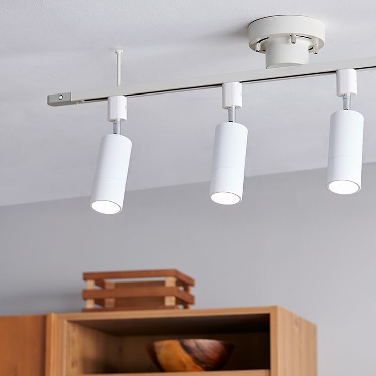 Ceiling light with duct rail