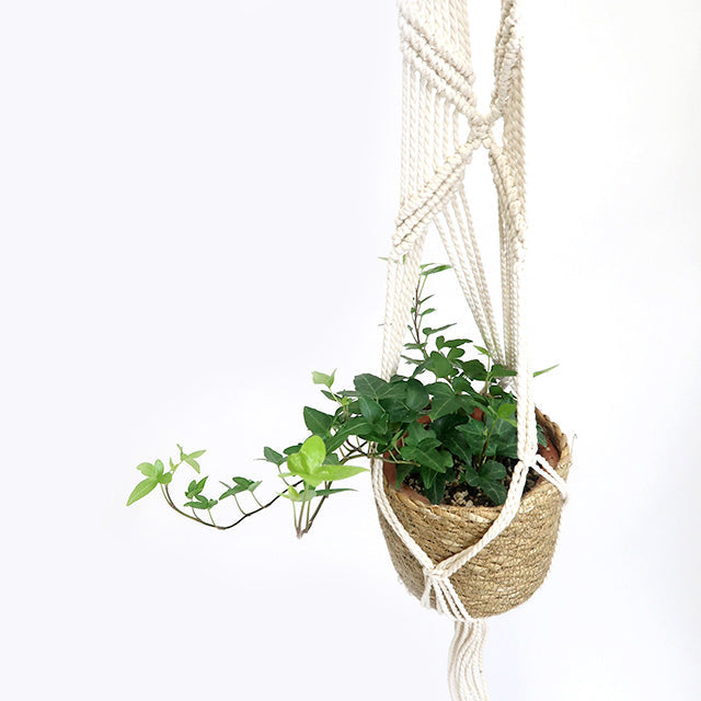 Macrame Hanging Pot D
