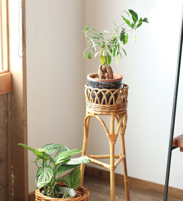 JUGLAS Flower Stand L