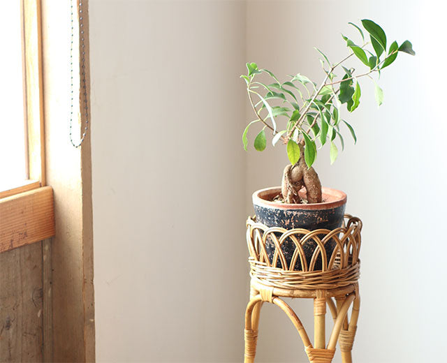JUGLAS Flower Stand L