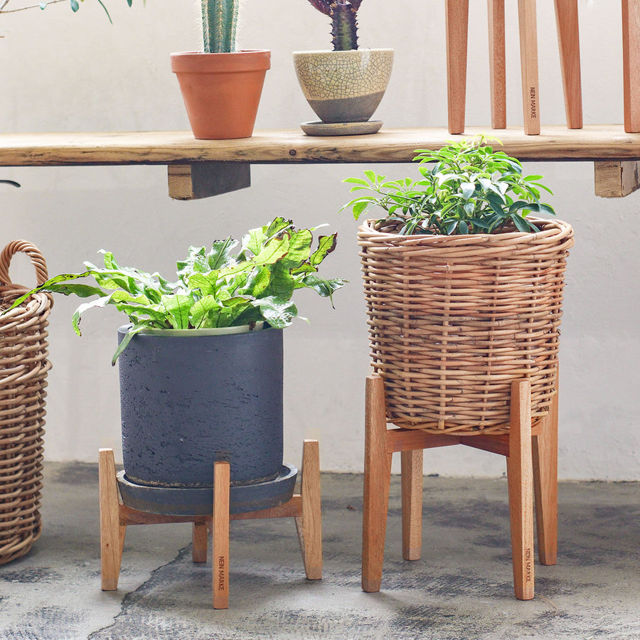 NEIN MARKE Mahogany Pot Stand L Low