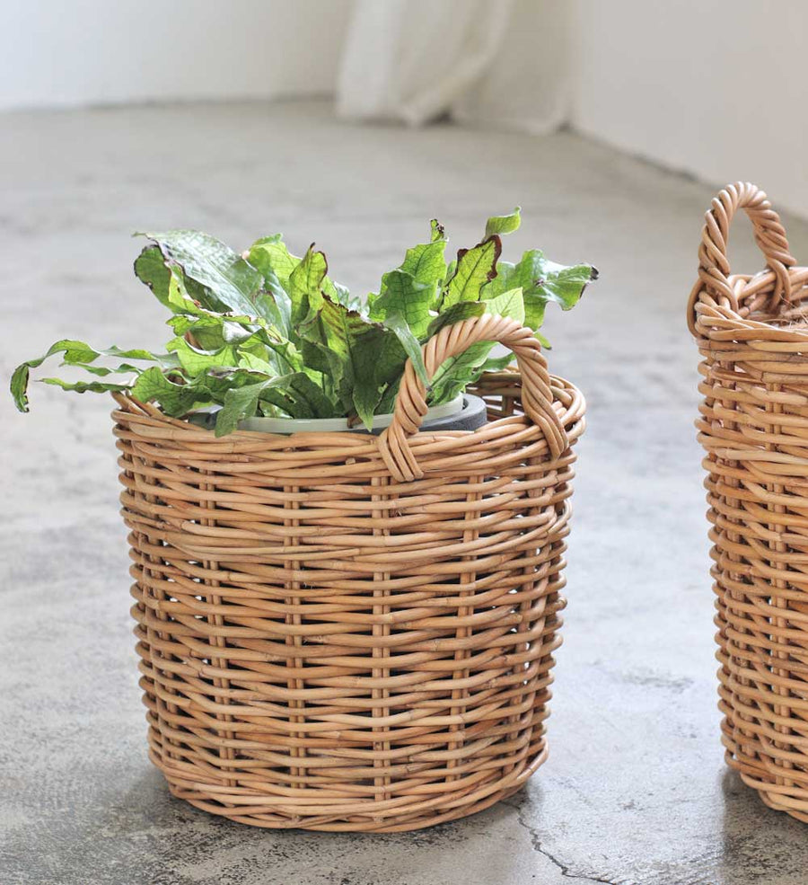 THE AROROG Planter Basket for No. 6 Pots