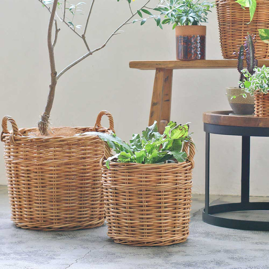 THE AROROG Planter Basket for No. 6 Pots