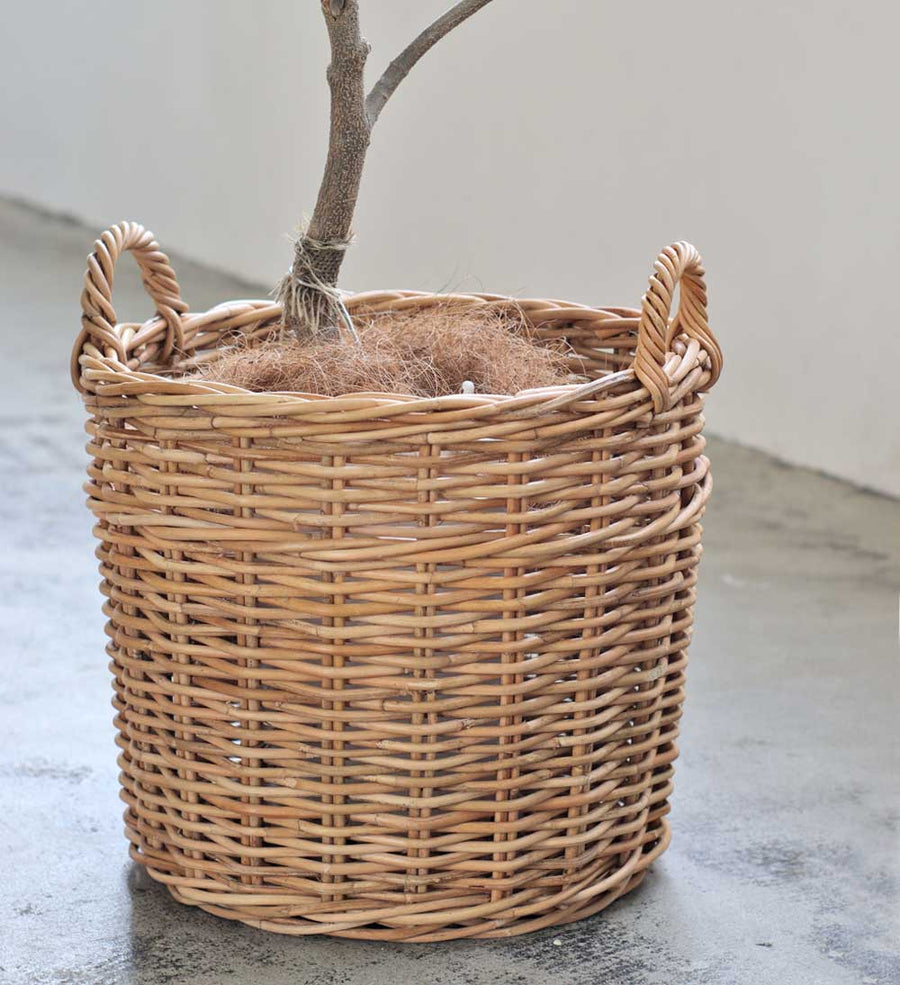THE AROROG Planter Basket for No. 8 Pots